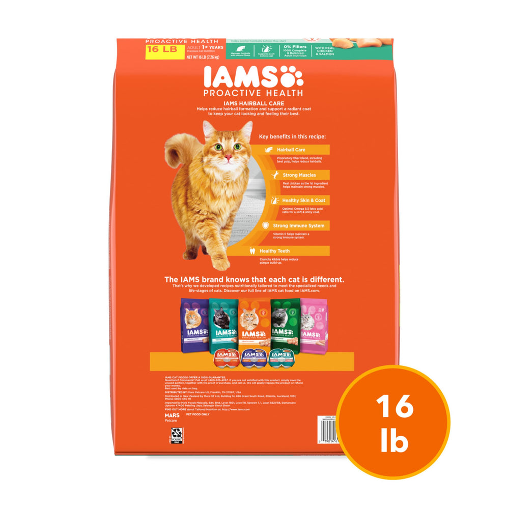 Gato adulto comiendo IAMS del plato, ilustra aceptación y apetito del animal