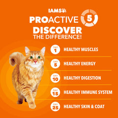 IAMS pollo real como primer ingrediente para soporte muscular