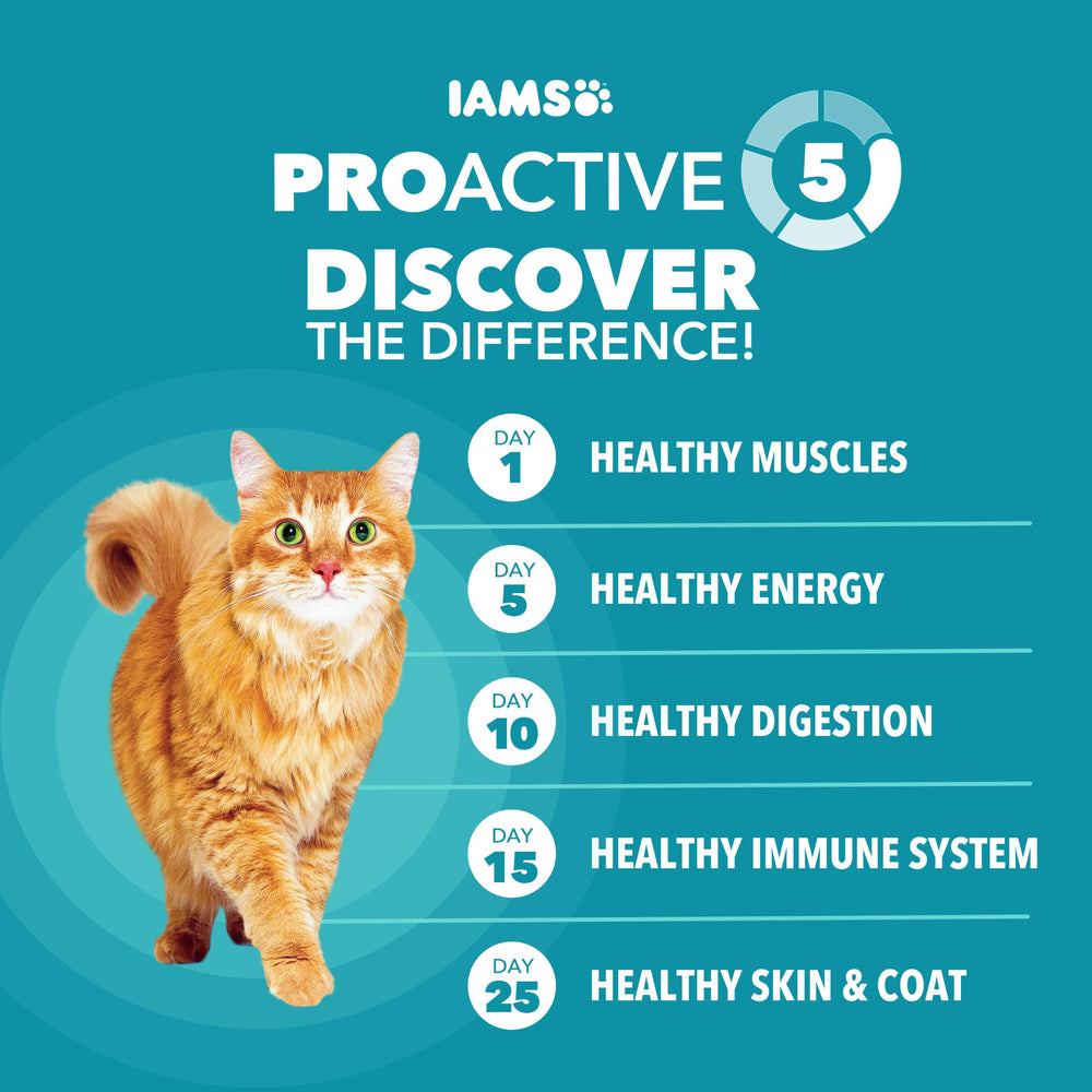 IAMS salmón real como ingrediente principal para proteínas saludables