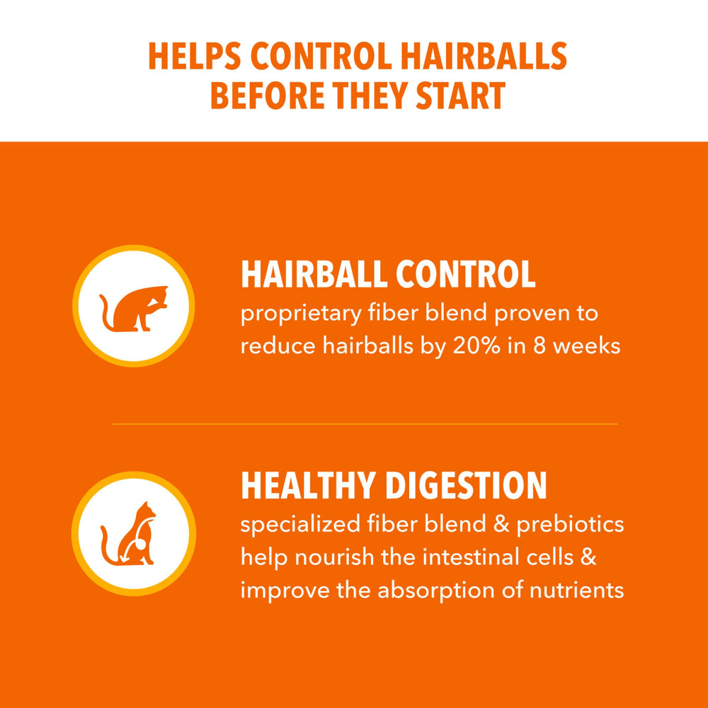 Primer plano del kibble IAMS para apreciar textura y tamaño, ayuda a ver la calidad del pienso