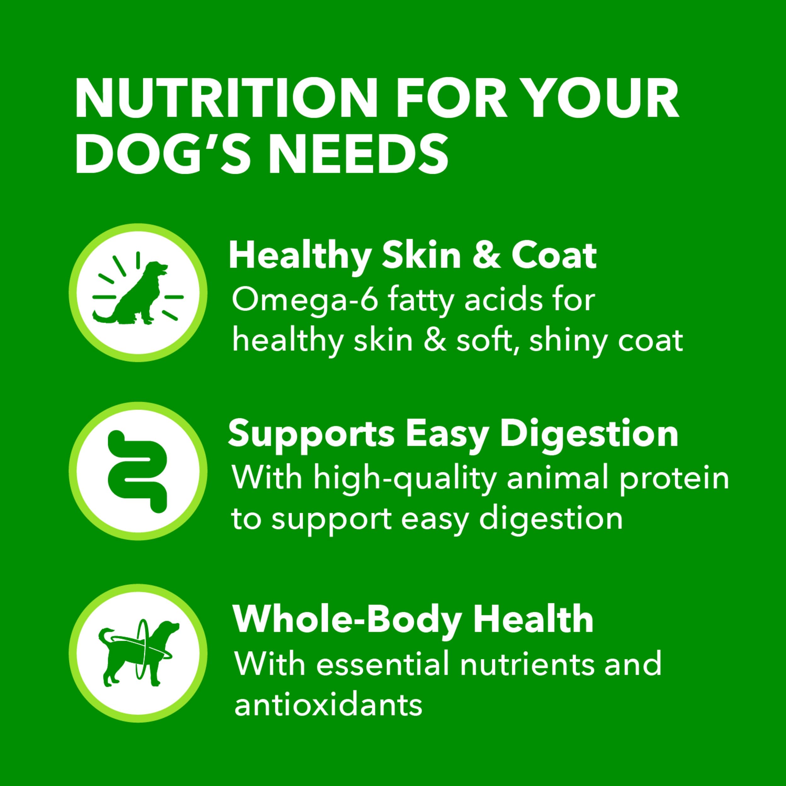 IAMS comida servida en plato demostrándola como comida completa para perros