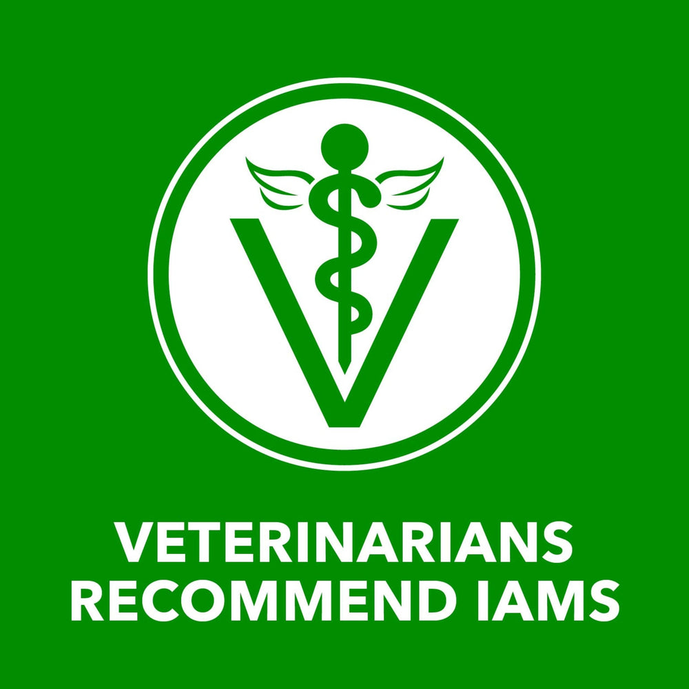 IAMS latas en cocina con ambiente cotidiano mostrando facilidad de uso