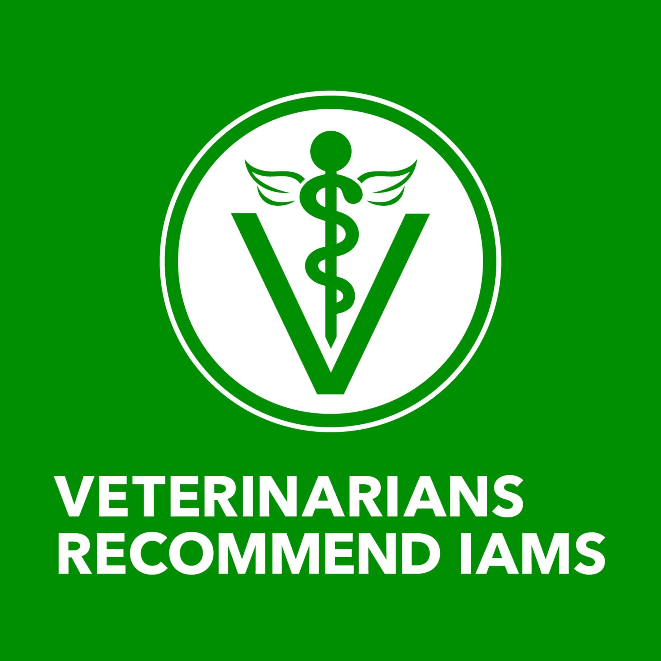 IAMS pack apilado de 12 latas, muestra cantidad y almacenamiento práctico