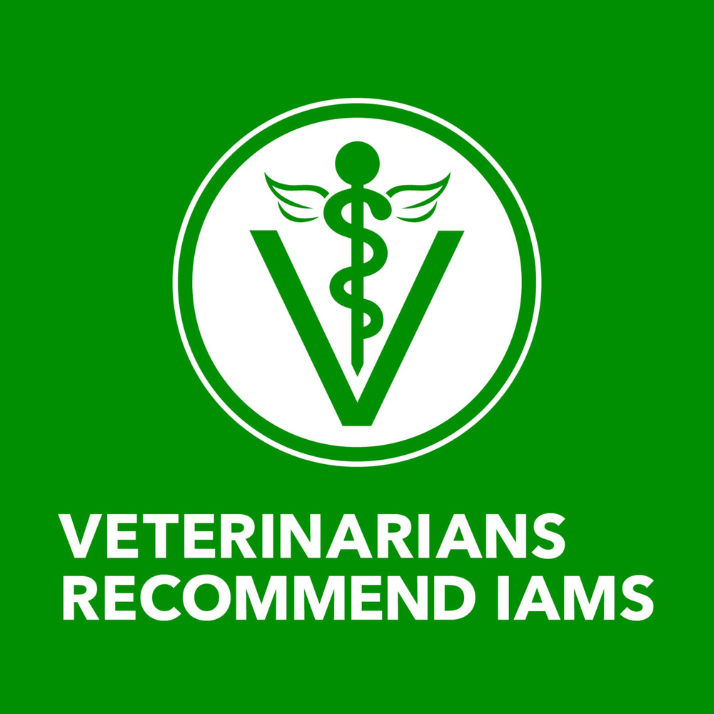 IAMS pack apilado de 12 latas, muestra cantidad y almacenamiento práctico