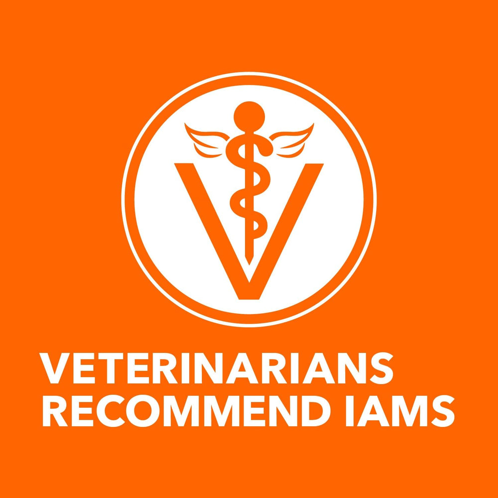 IAMS gato comiendo paté, aceptación y satisfacción visibles