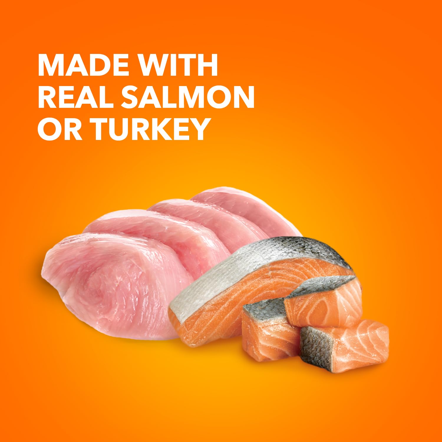 IAMS textura pate de salmón y pavo, fácil de masticar para gatos