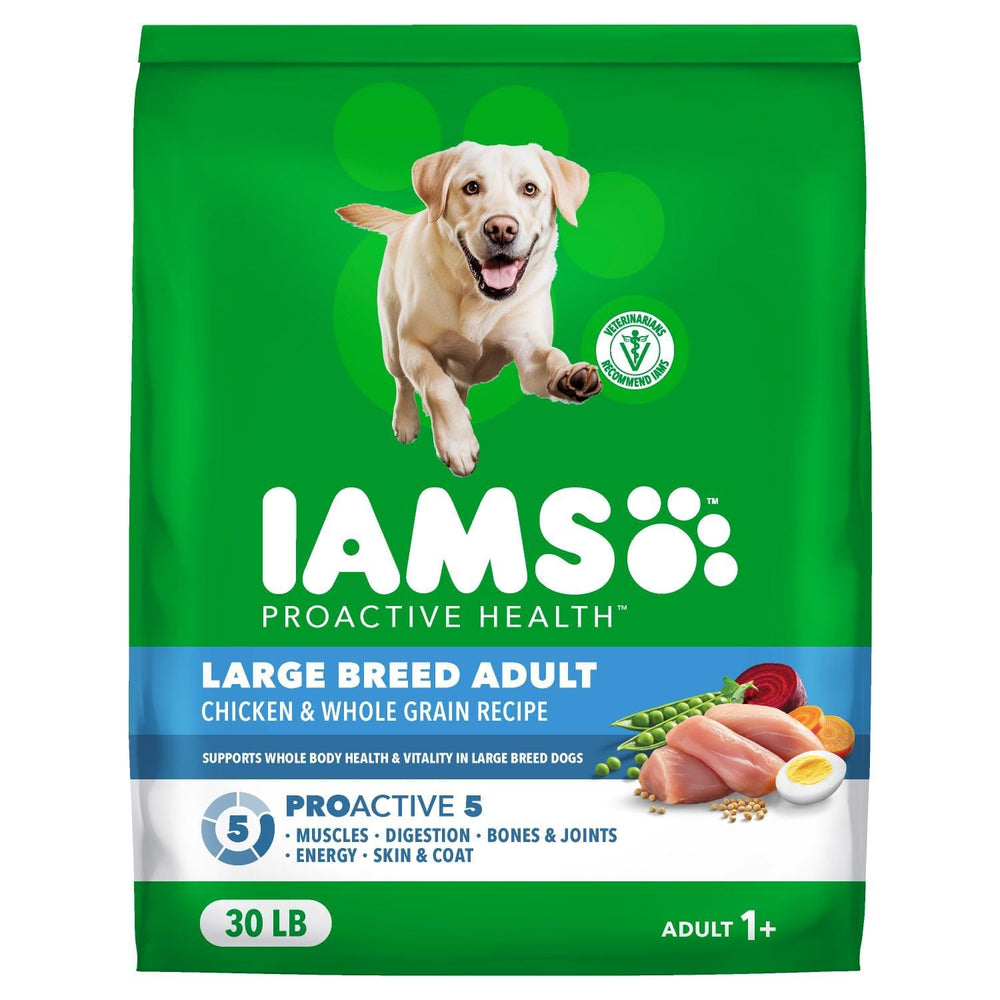 IAMS perro grande comiendo el alimento que favorece músculos y energía
