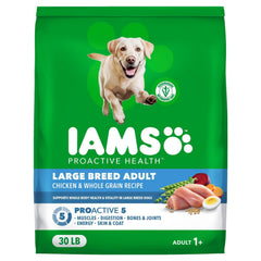 IAMS perro grande comiendo el alimento que favorece músculos y energía