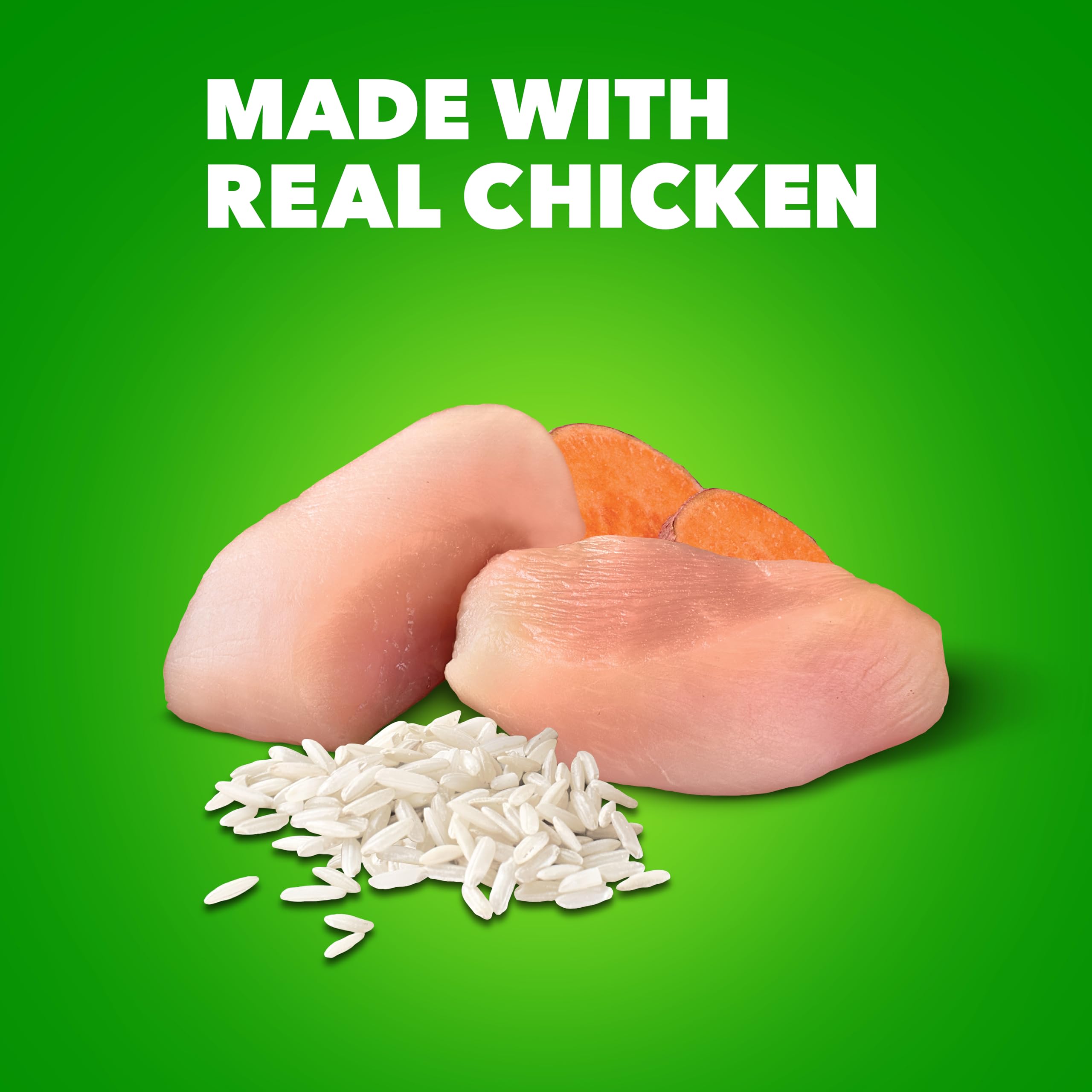 IAMS porción servida en plato para control de raciones
