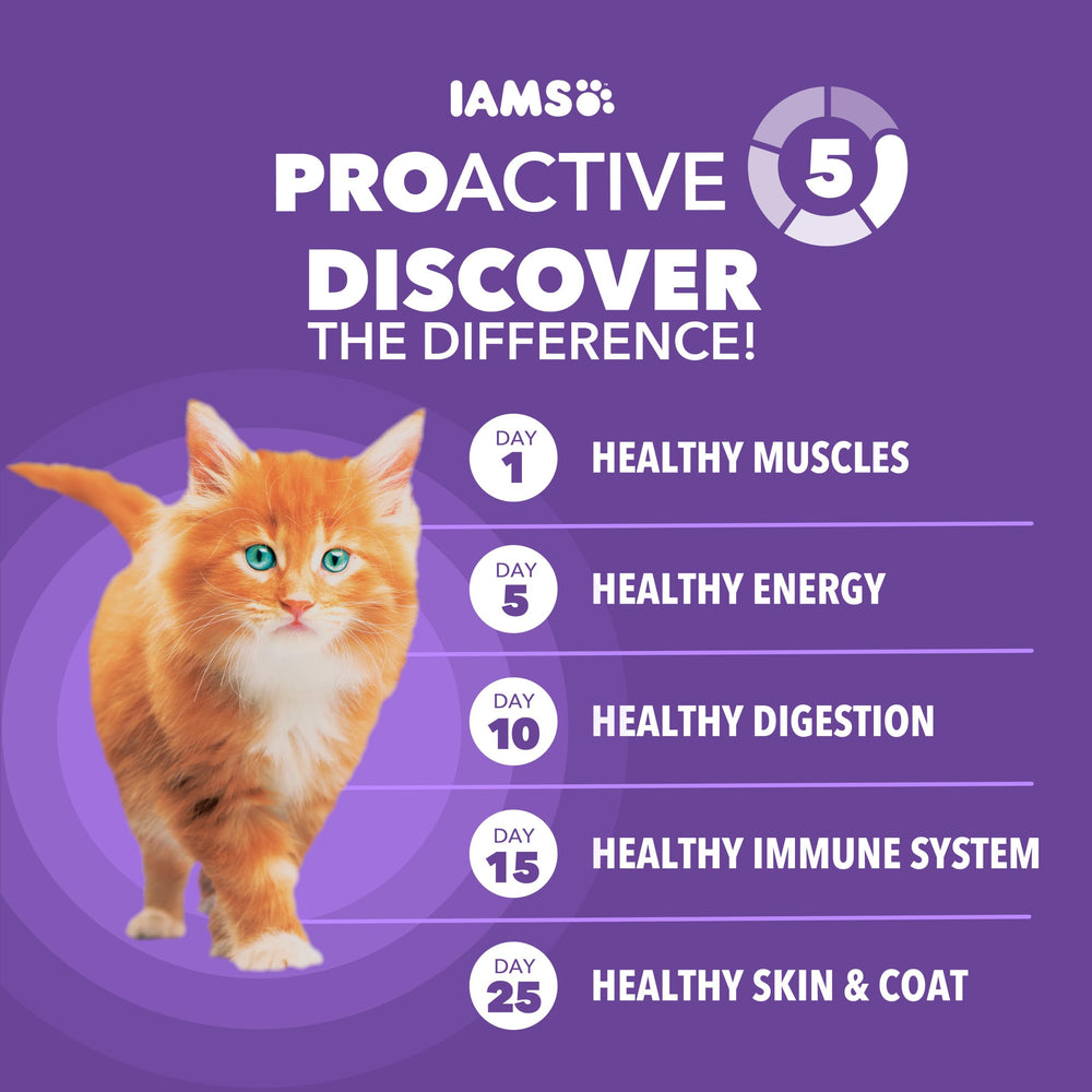 IAMS porción comparada en balanza, control de ración sencillo