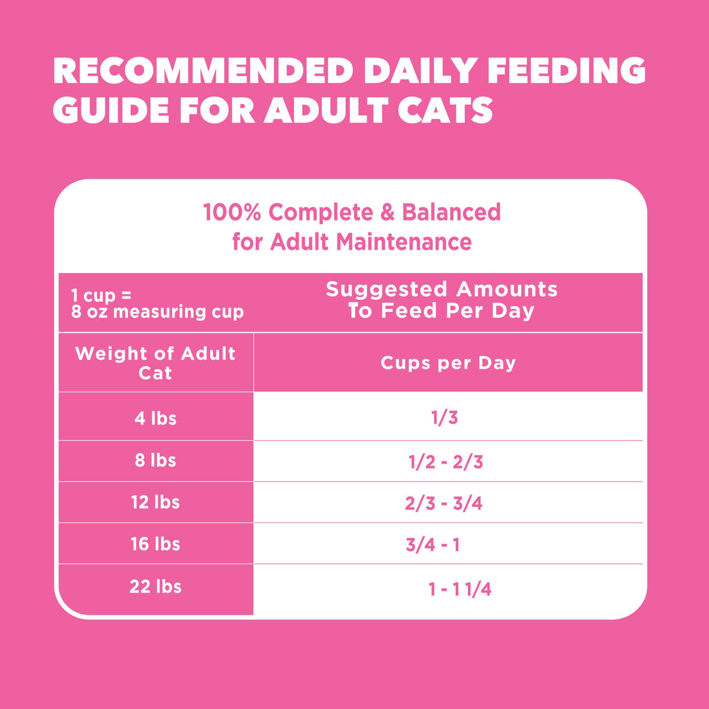 IAMS gato jugando con pelaje brillante tras alimentación adecuada
