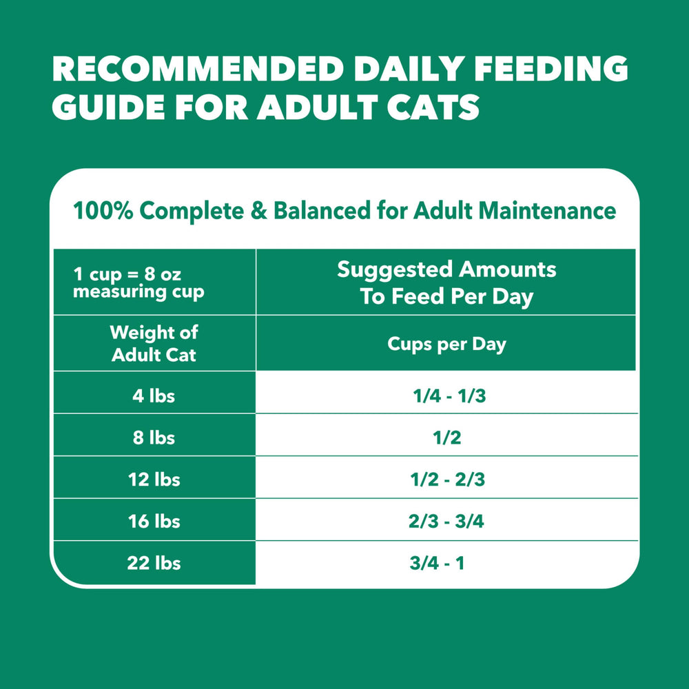 IAMS escena doméstica con gato saludable y ambiente tranquilo