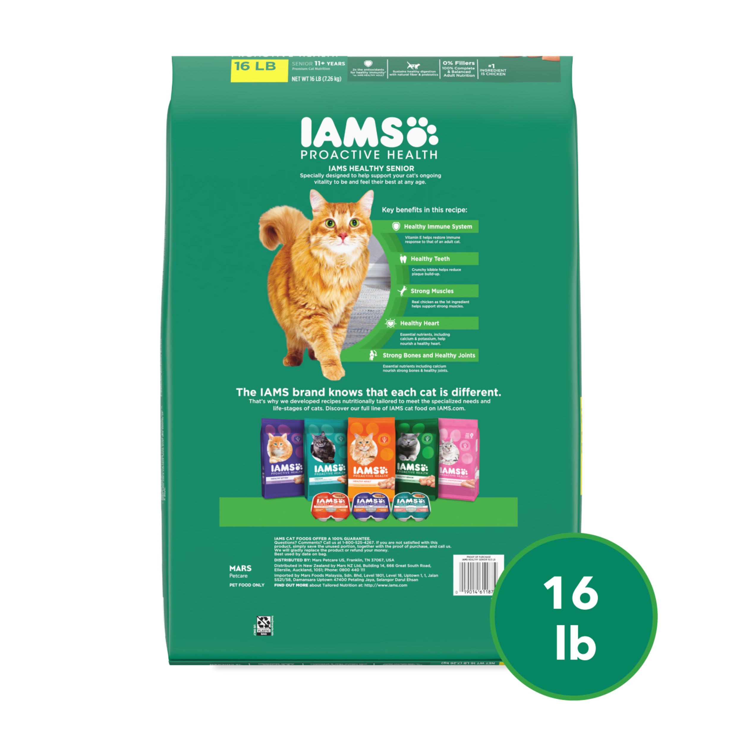 IAMS gato comiendo pienso ilustra aceptación y palatabilidad
