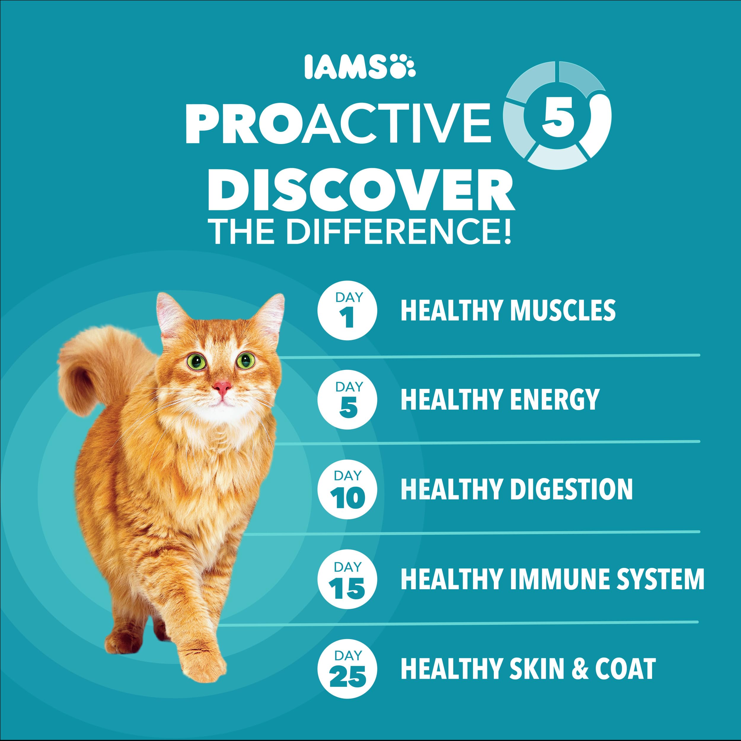 IAMS comparación de tamaño del paquete con un cuenco para escala