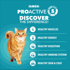 IAMS comparación de tamaño del paquete con un cuenco para escala