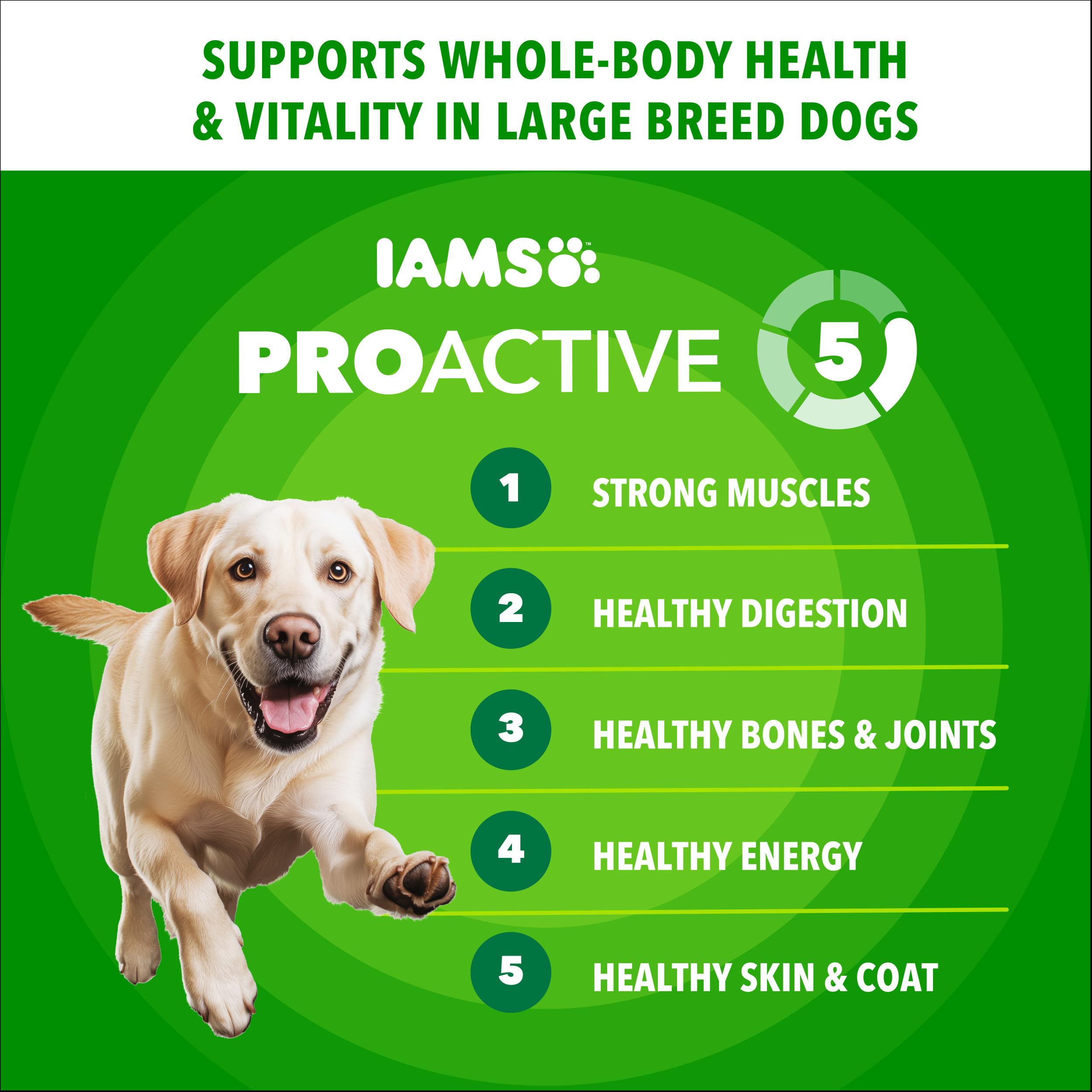 IAMS textura de croqueta en primer plano, fomenta masticación adecuada