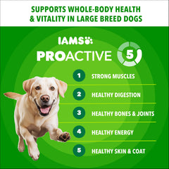IAMS textura de croqueta en primer plano, fomenta masticación adecuada