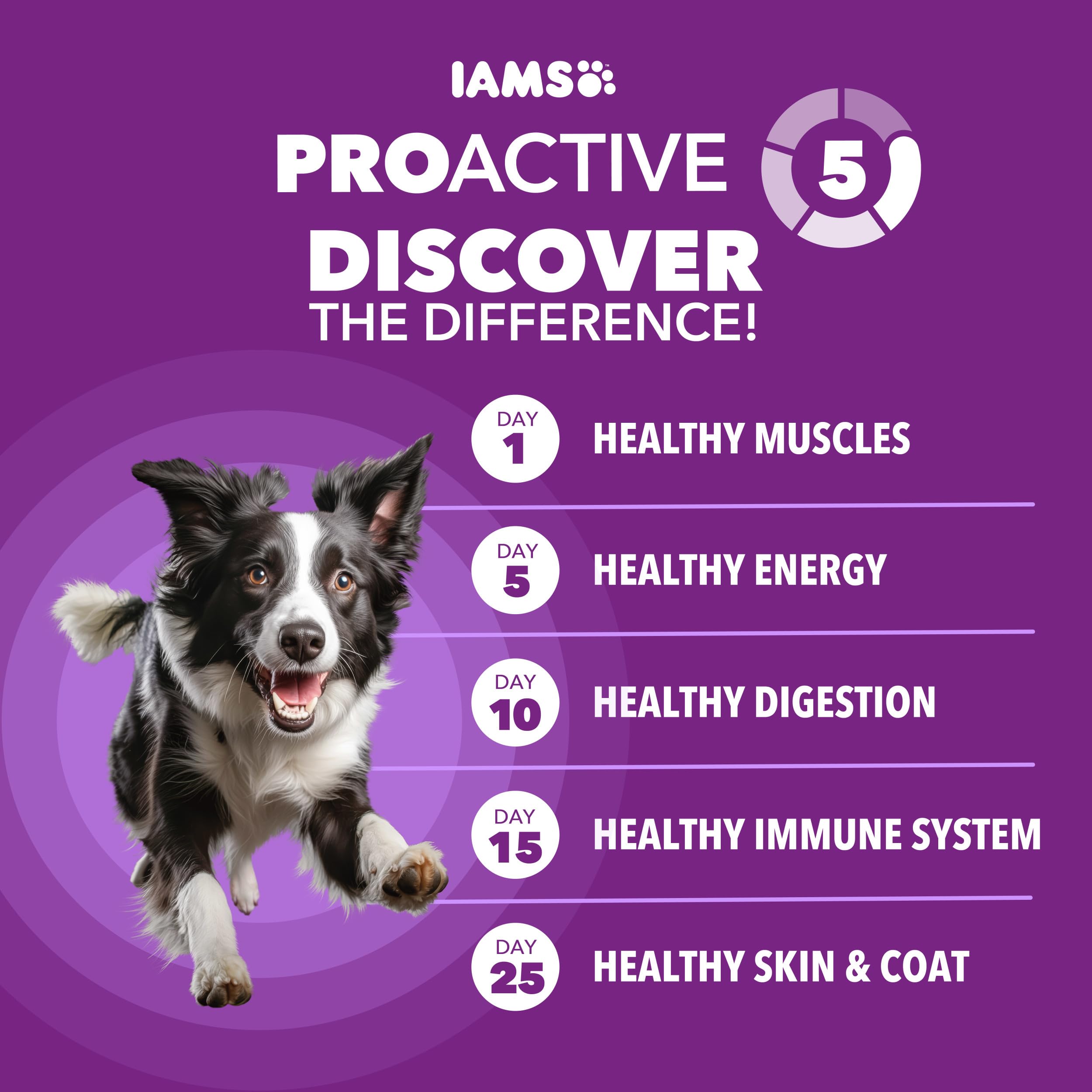 IAMS textura del granulado en primer plano que facilita la masticación