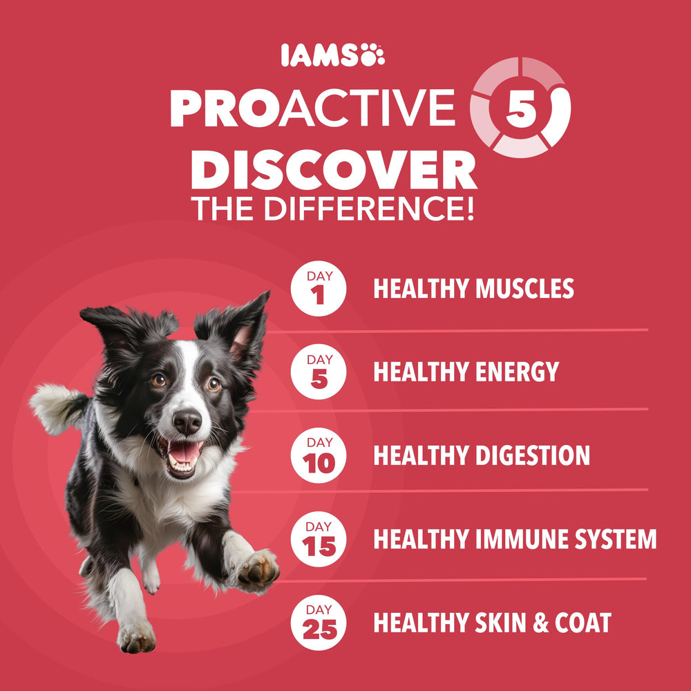 IAMS textura de croqueta cercana que facilita digestión