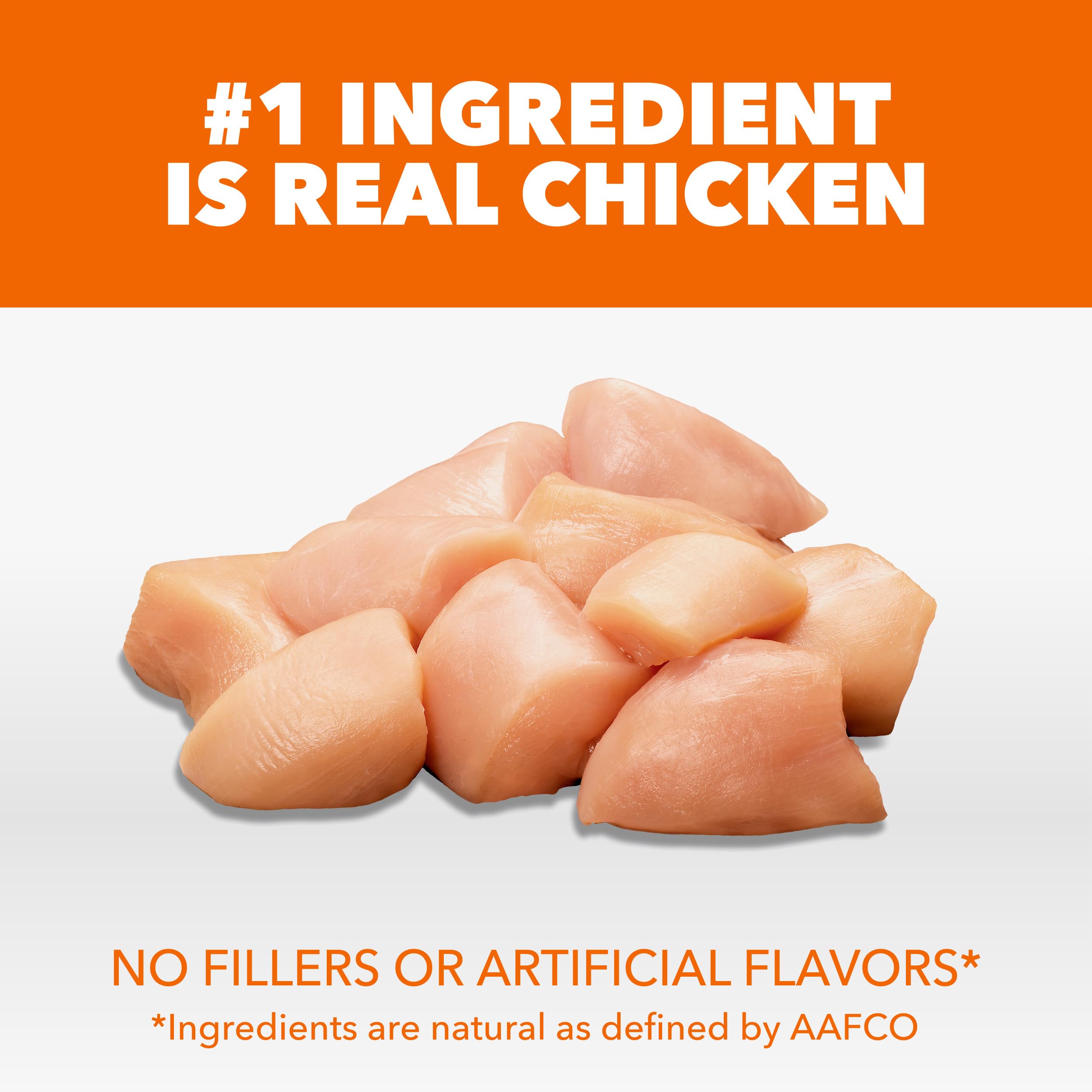 IAMS textura del pienso en primer plano que muestra croquetas nutritivas