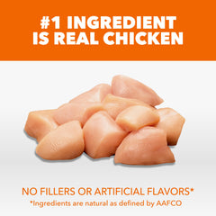 IAMS textura del pienso en primer plano que muestra croquetas nutritivas