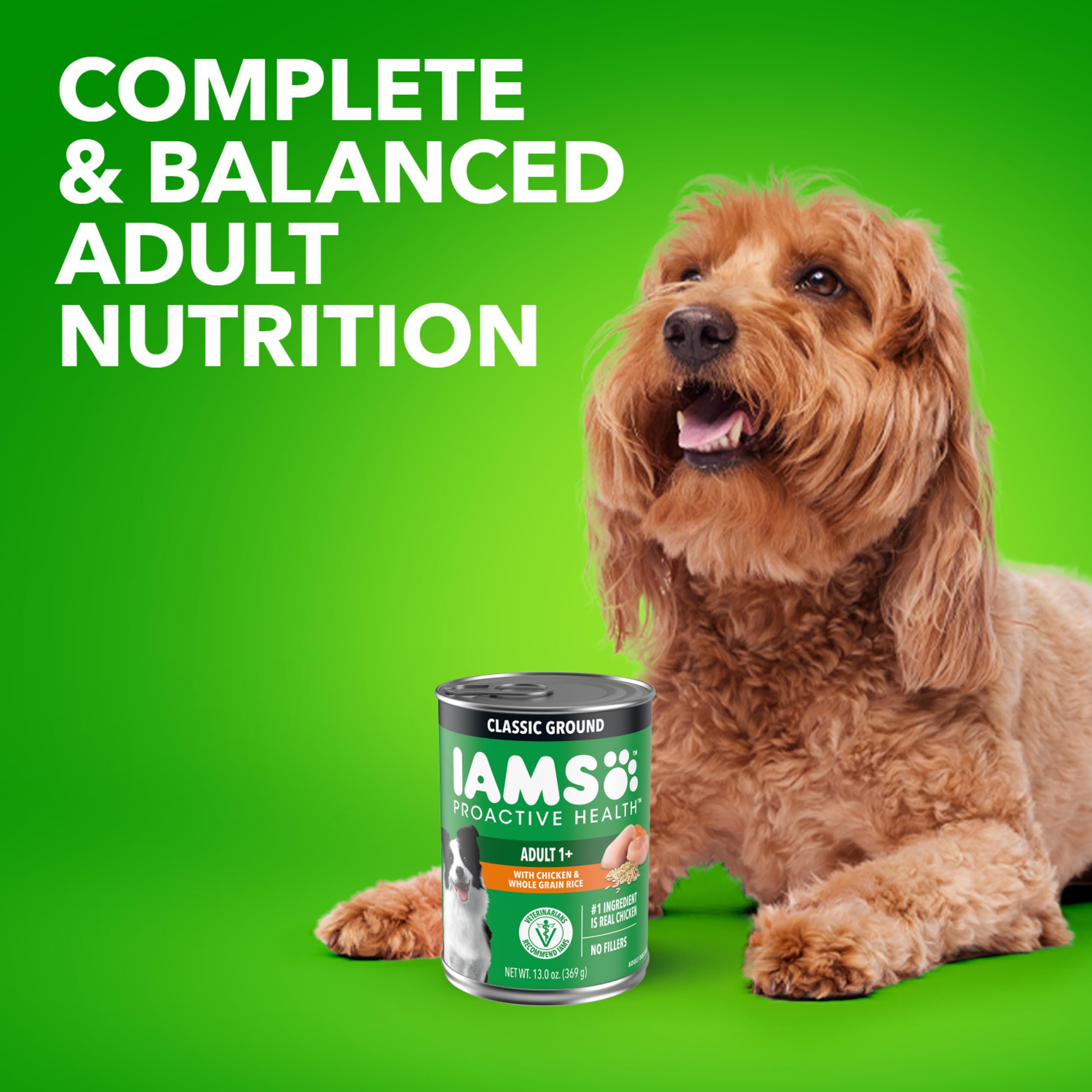 IAMS comida servida en cocina, escenario cotidiano y facilidad para dueños