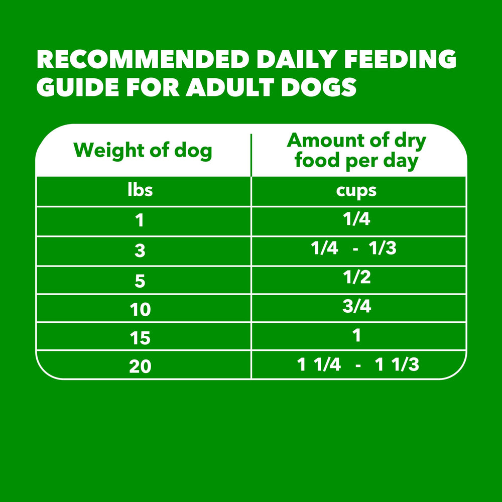 IAMS perro con pelaje brillante tras alimentación consistente con omega-6