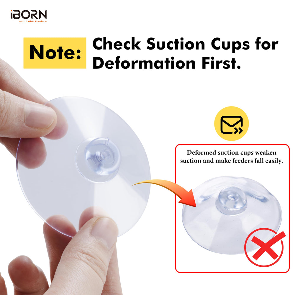 iBorn comedero junto a una regla para comparar tamaño compacto