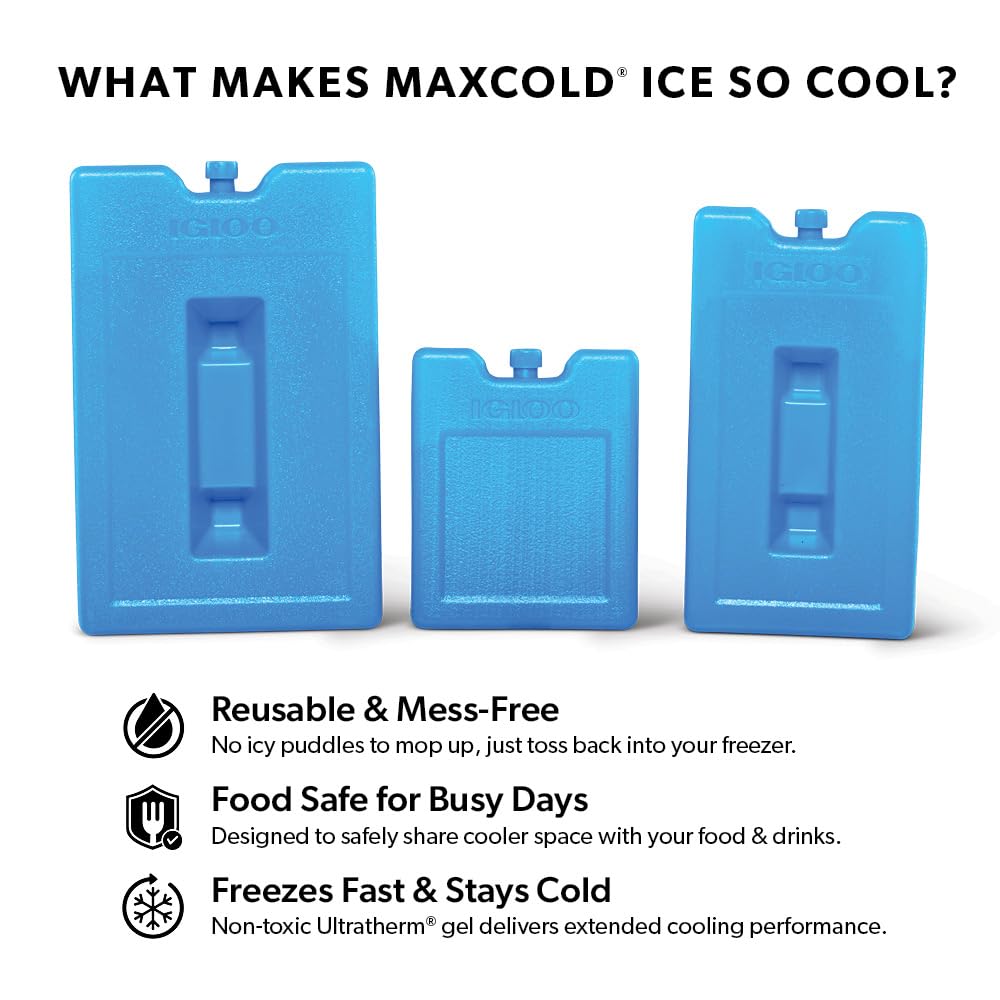 Bloque Igloo MaxCold colocado en congelador listo para su reutilización
