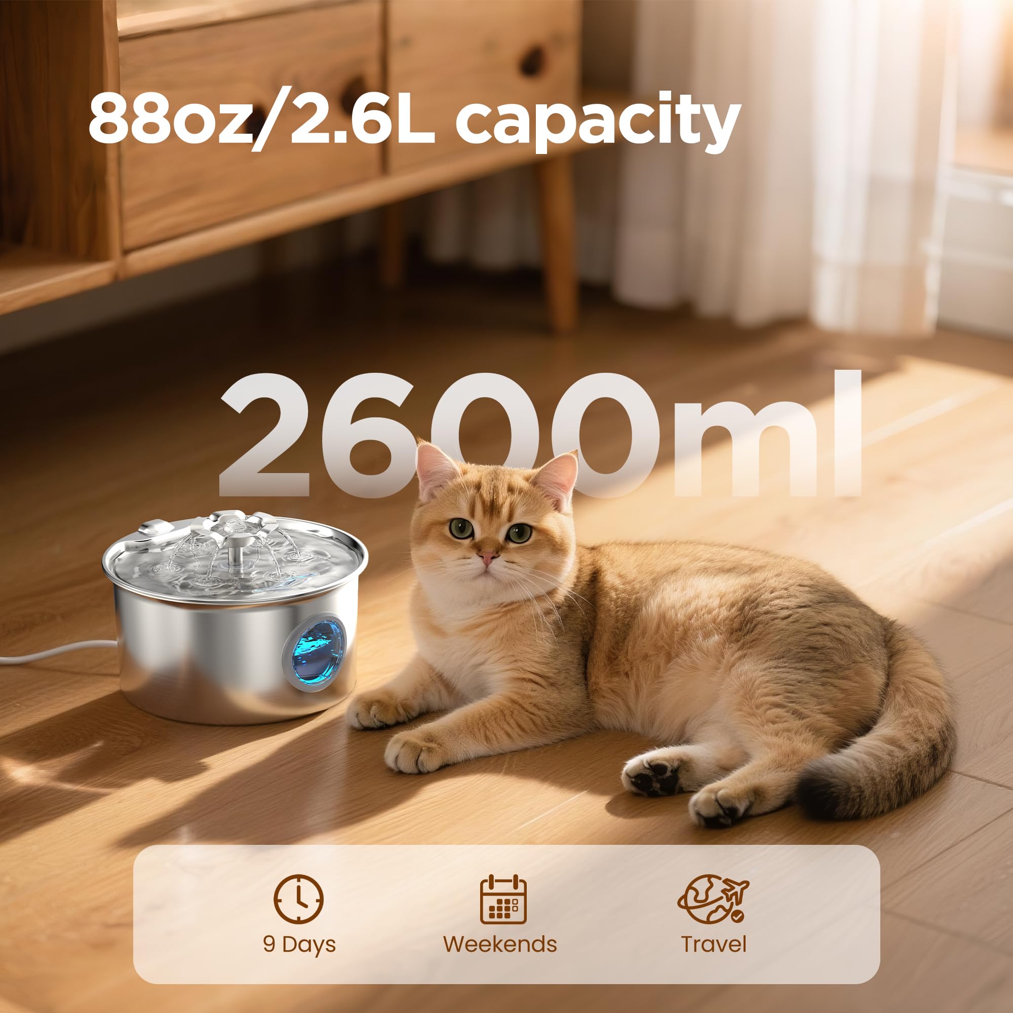 IHOUONE surtidor en forma de flor desde arriba, flujo que atrae al gato