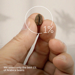 illy primer plano de granos para apreciar textura y calidad