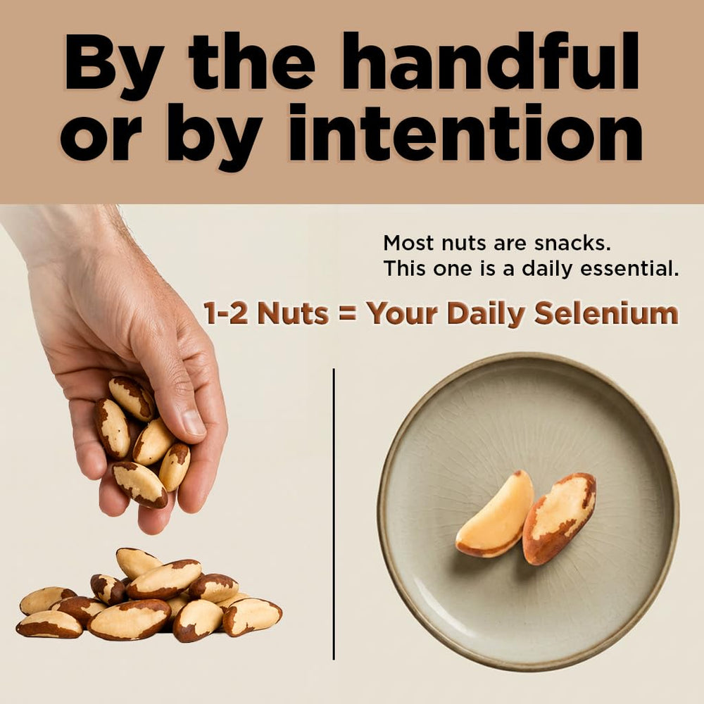 I'm A Nut nueces de Brasil enteras mostrando tamaño y calidad
