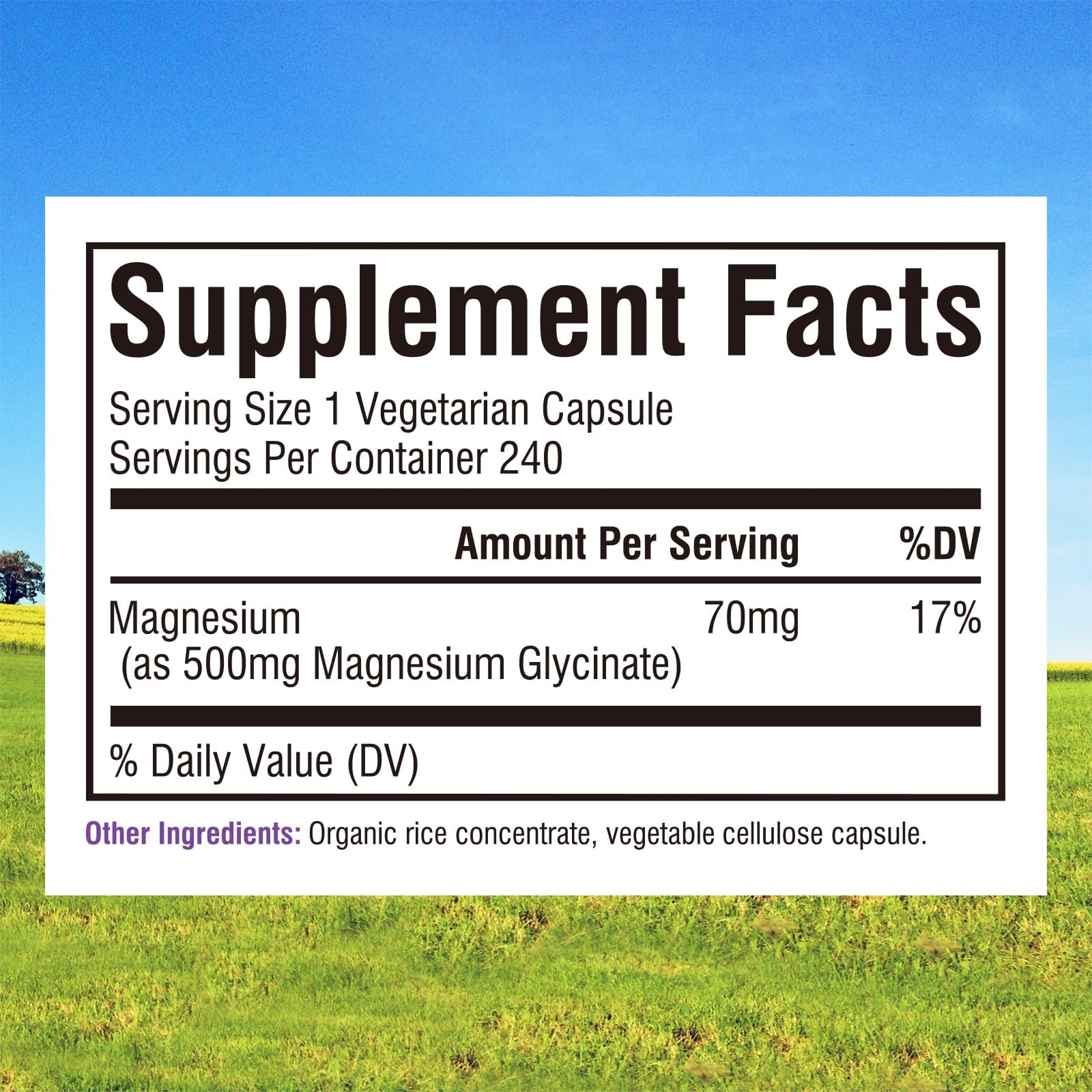 Innate Vitality cápsula en primer plano fácil de tragar y vegana