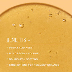 INNERSENSE aplicación del champú en cabello húmedo para nutrición ligera
