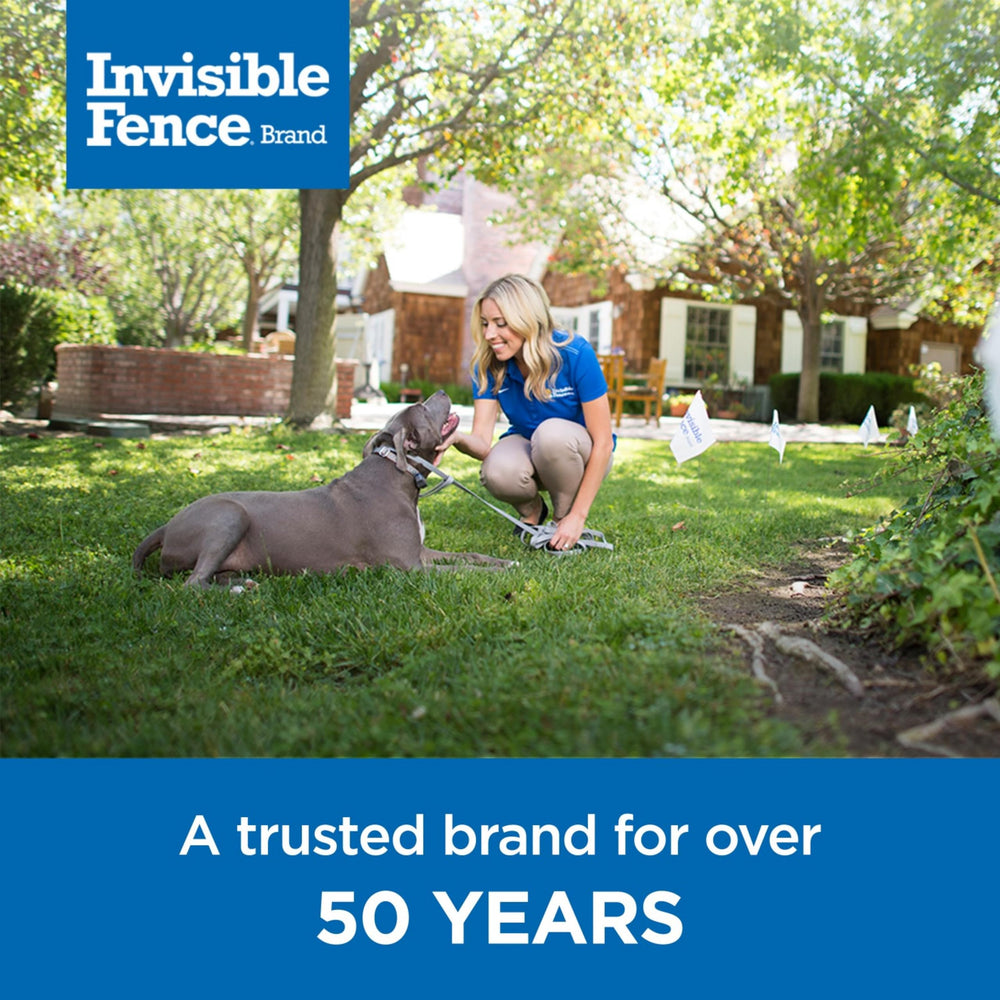 Invisible Fence contenido junto a collar demostrando compatibilidad precisa