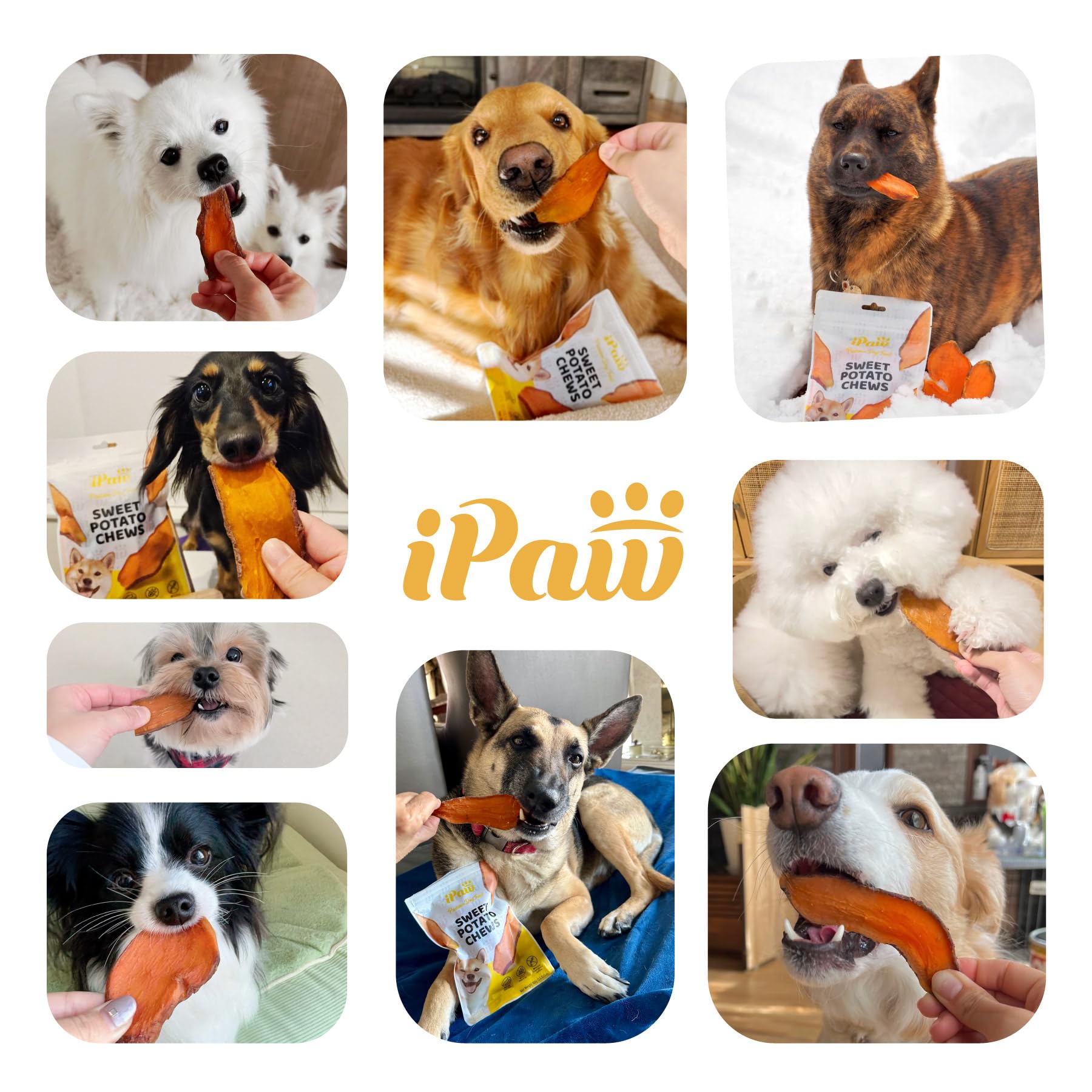iPaw etiqueta con sello SQF evidencia trazabilidad y control
