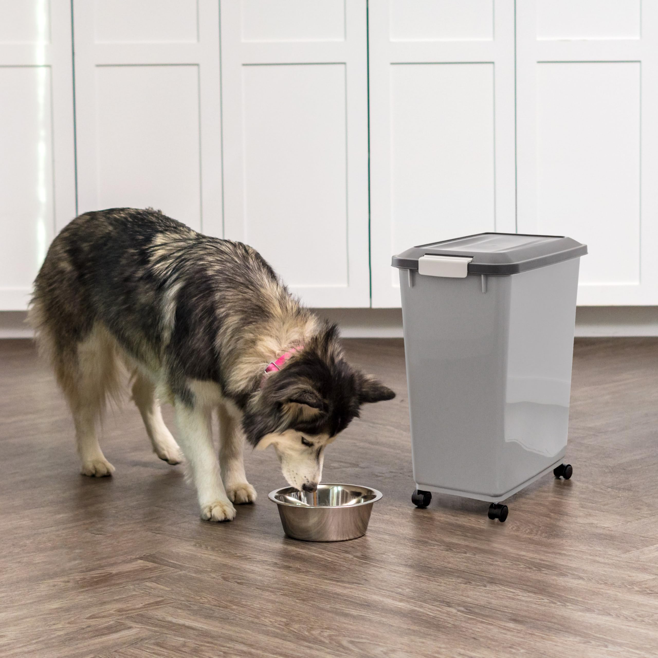 IRIS USA etiqueta con dimensiones y material BPA-free visible