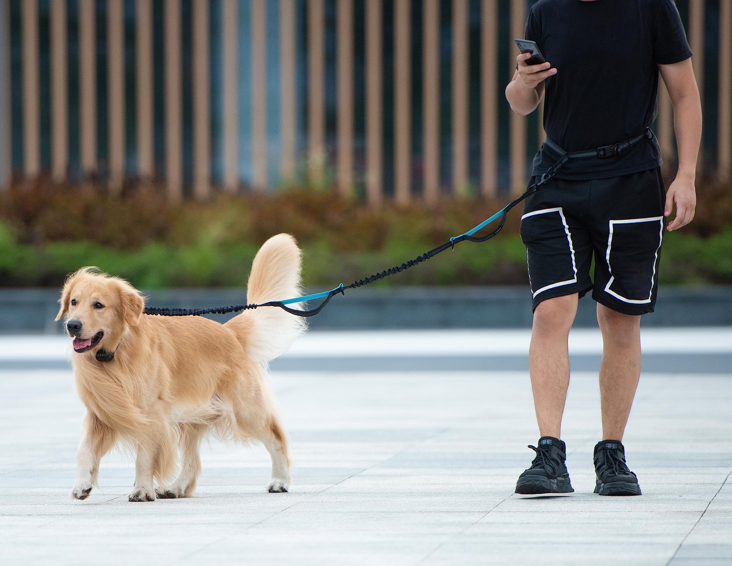 iYoShop correa en uso mientras se corre por parque para paseos activos