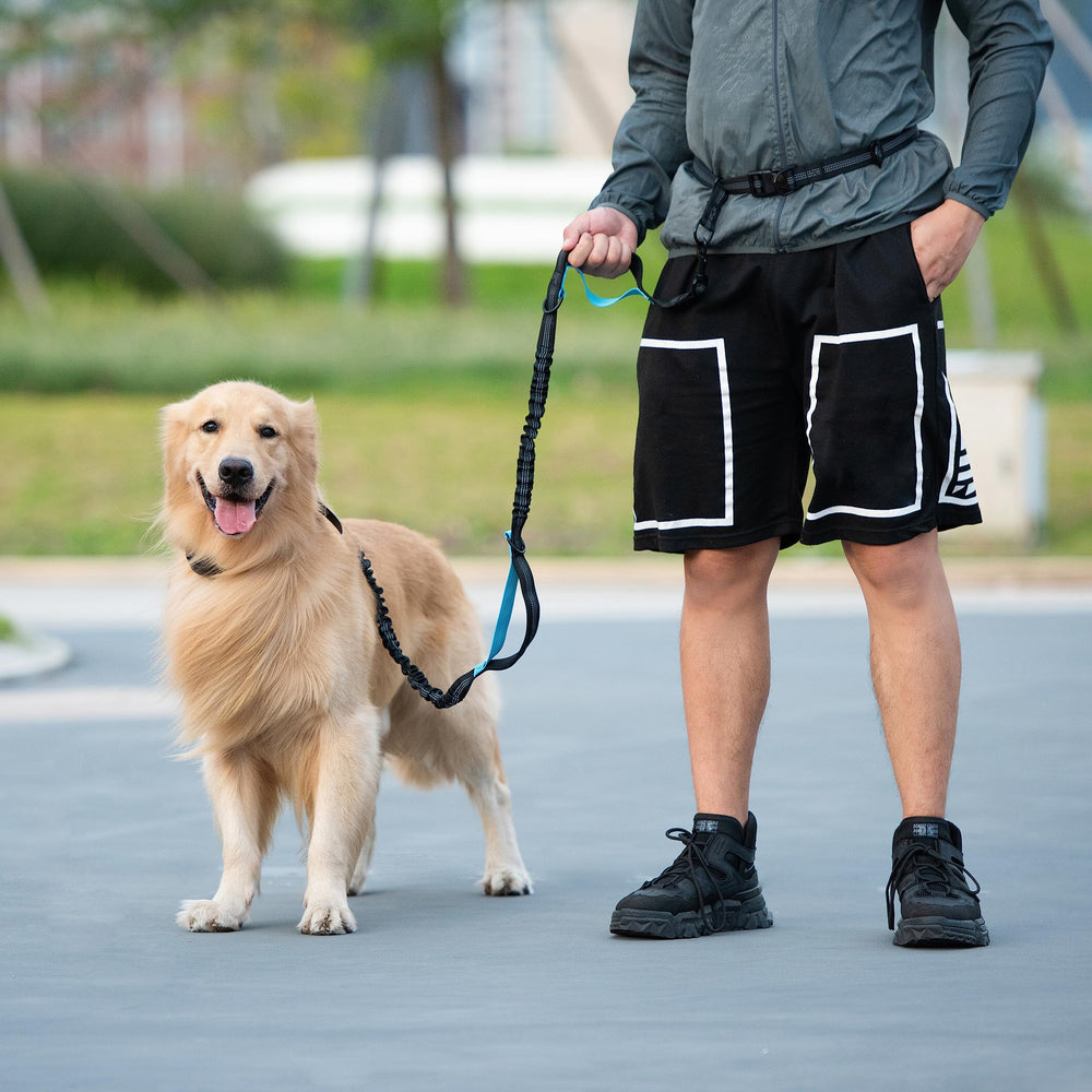 iYoShop correa manos libres en parque para correr con perro