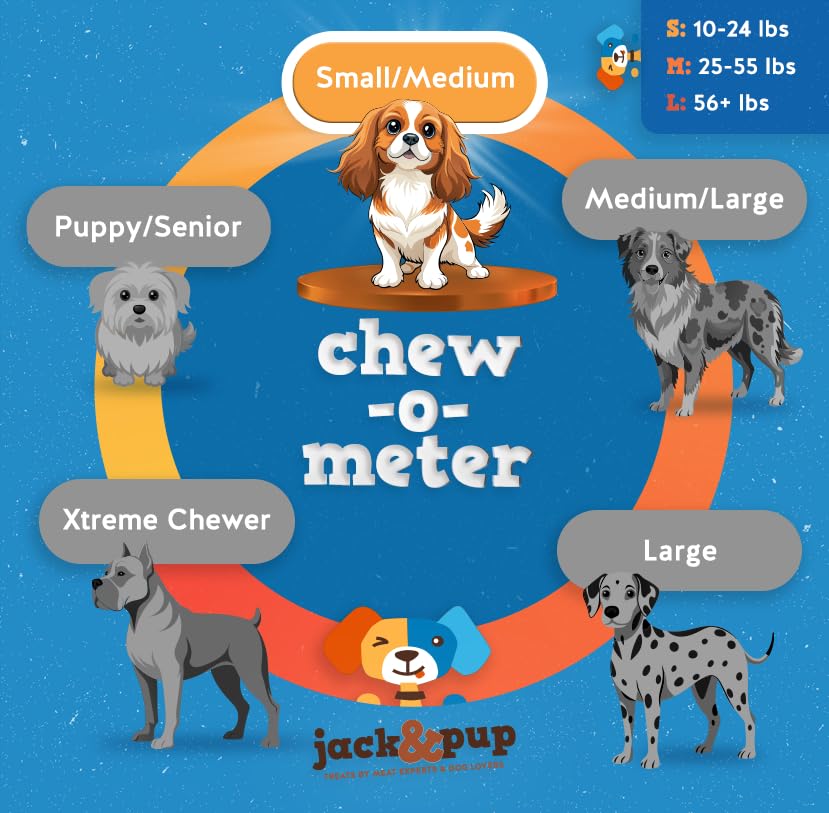 Jack&Pup comparación de tamaño con mano humana mostrando proporción segura