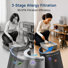 Jafanda Air filtro True HEPA visible para mantenimiento y cambio sencillo