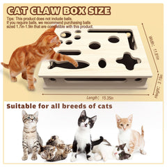 JHMFDDSB gato interactuando con la caja, estimulación mental activa