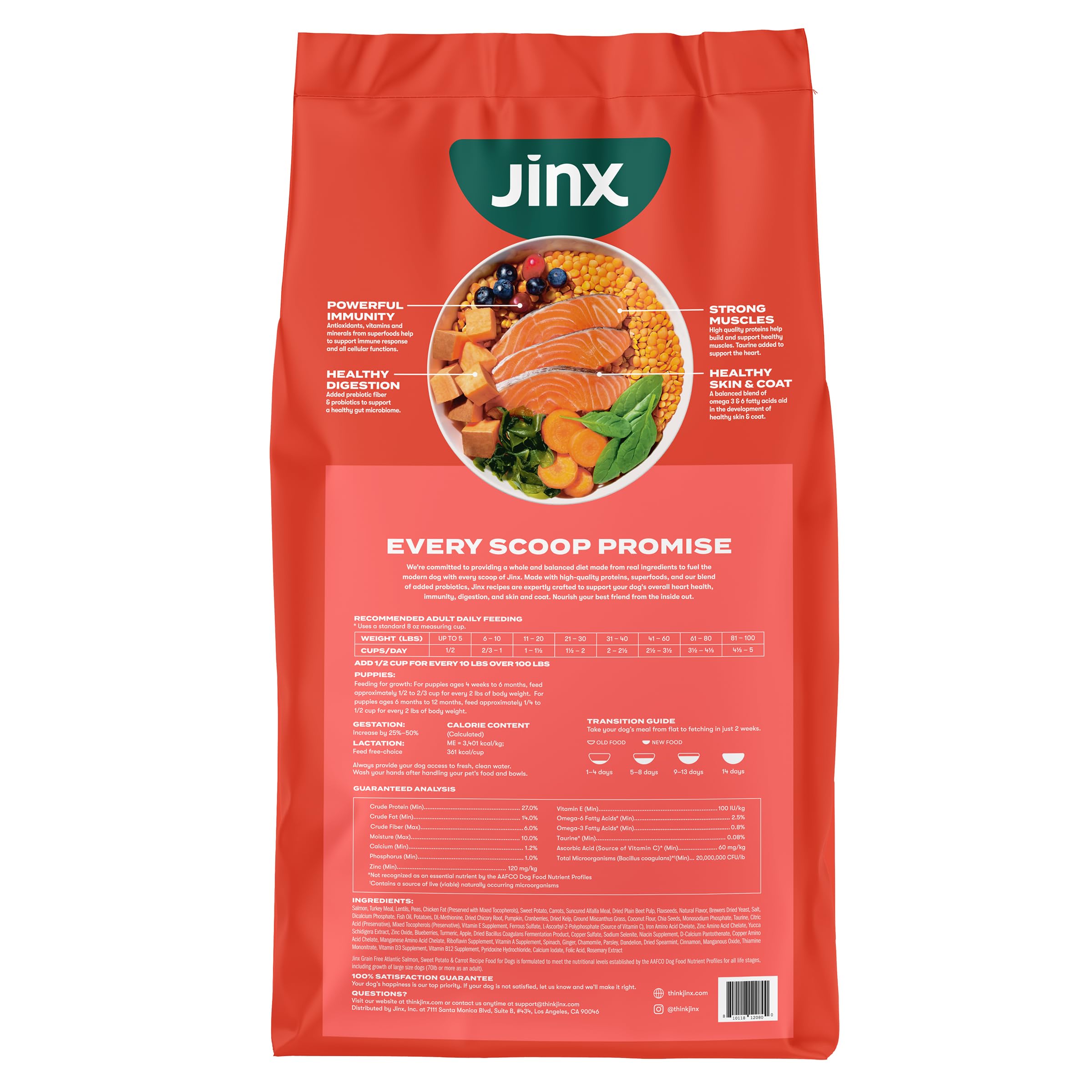 Jinx perro en cocina comiendo, mostrando energía y bienestar
