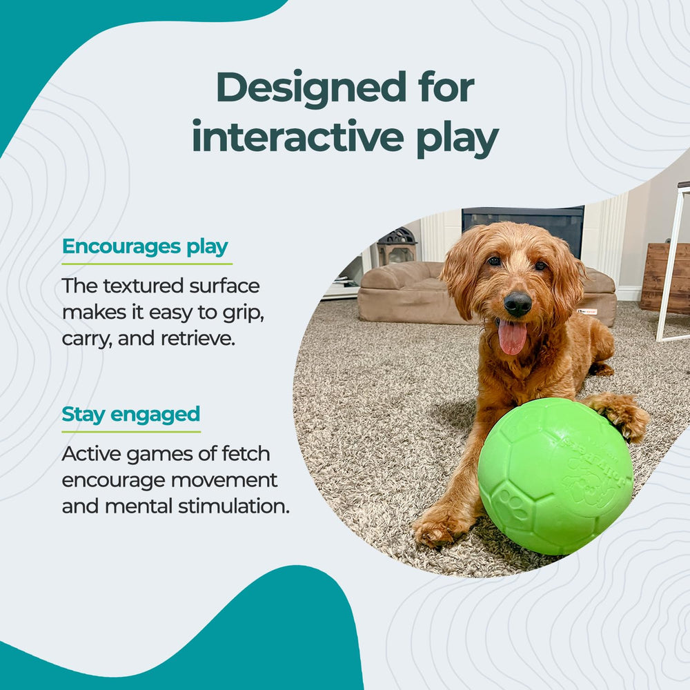 Jolly Pets floating soccer ball in water showing easy retrieval and buoyant play