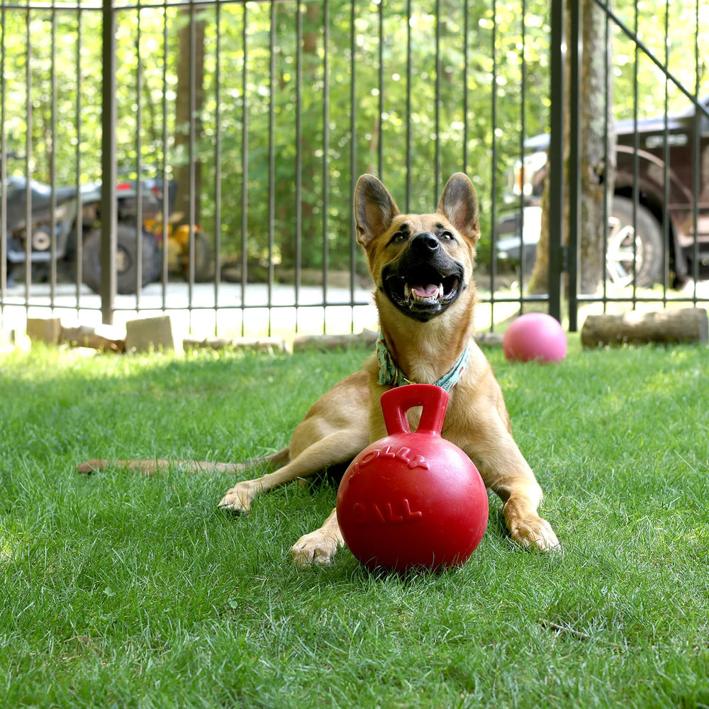 Jolly Pets etiqueta y empaque indicando fabricación en Estados Unidos