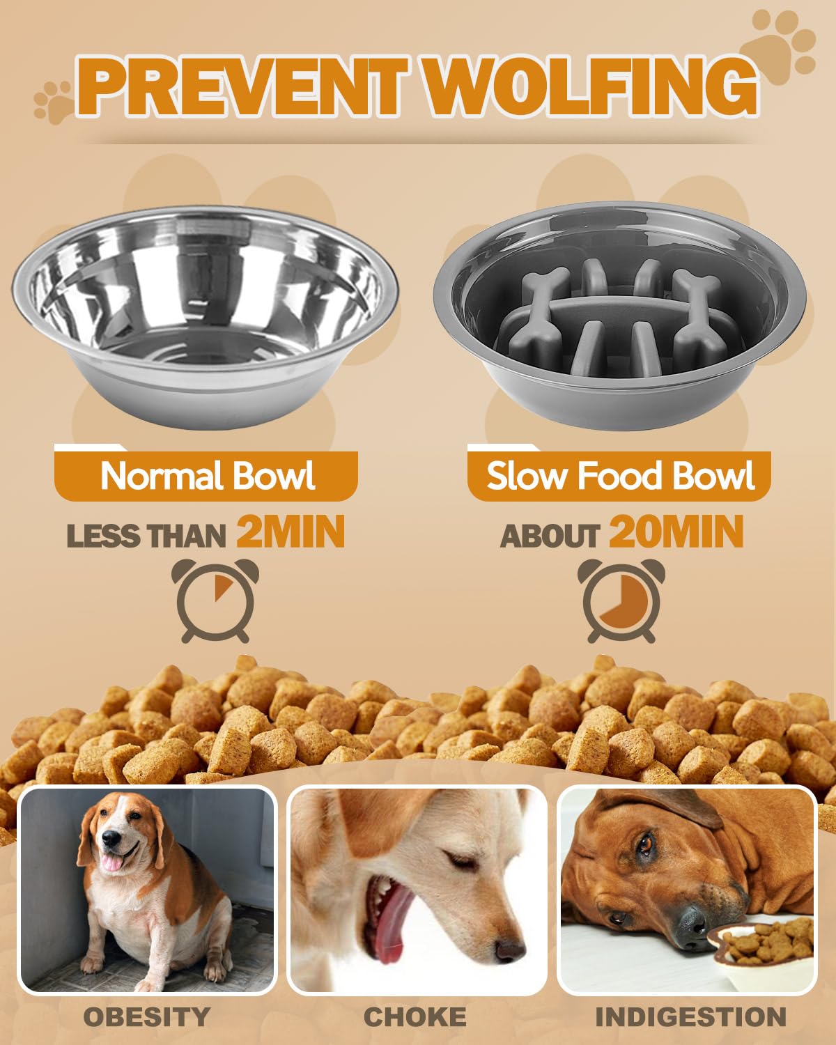 Jovrun comedero en uso con perro medio comodidad al comer visible