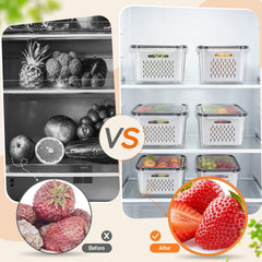 JSCARES contenedores en refrigerador conservando frutas frescas
