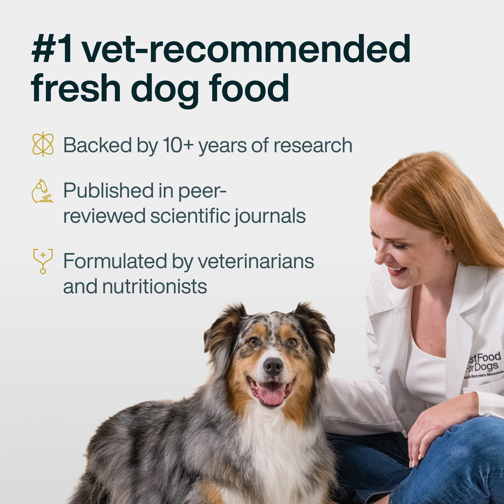 JustFoodForDogs mezcla junto a pollo, arroz y vegetales para preparar comida casera equilibrada