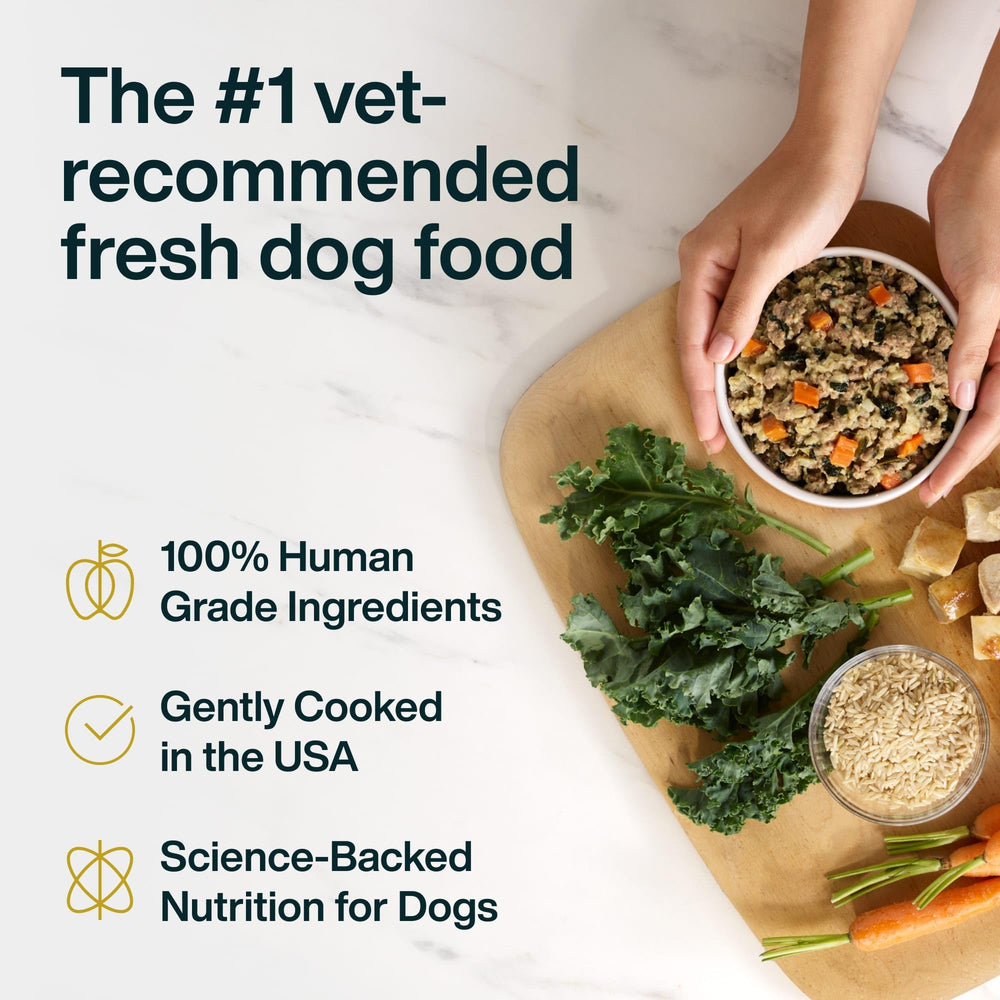 JustFoodForDogs sobre abierto con contenido jugoso, fácil de servir y apetitoso