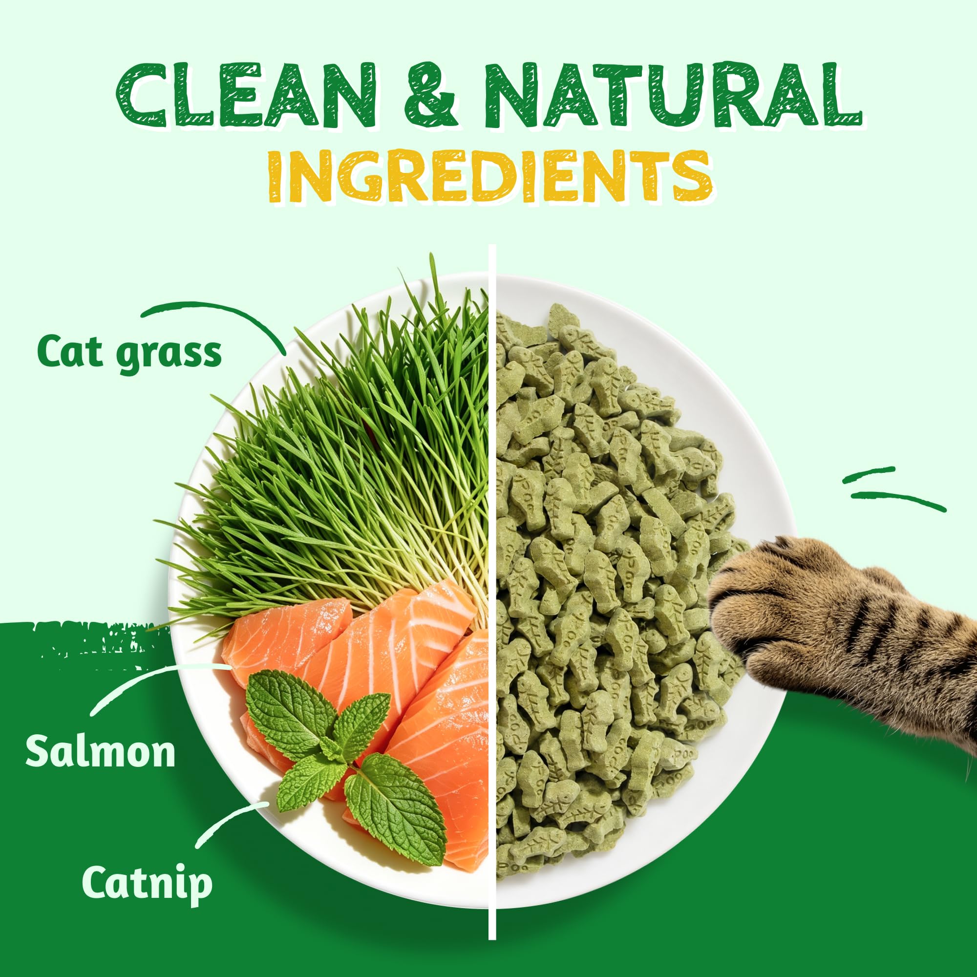 Just Try galletas primer plano con salmón y catnip, atractivo para gatos